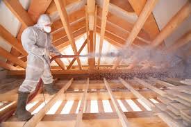 Best Insulation for New Construction  in Fruitland Park, FL