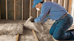 Best Batt and Roll Insulation  in Fruitland Park, FL