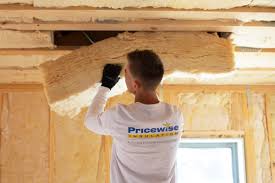 Best Commercial Insulation Services  in Fruitland Park, FL